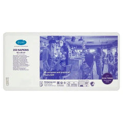 Duni Go 250 Napkins - Honesty Sales