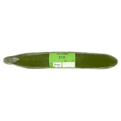 Farm Fresh Large Cucumber (Case of 10) - Honesty Sales