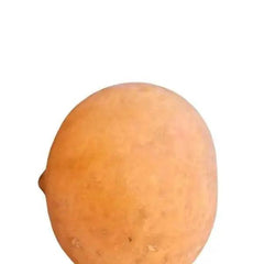 Hemispherical Calabash bowl 18 cm Round Half - Honesty Sales