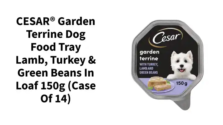 CESAR® Garden Terrine Dog Food Tray Lamb, Turkey & Green Beans in Loaf 150g (Case of 14) by@Outfy
