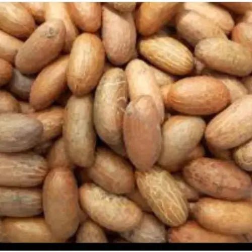 Traditional Bitter Kola - 25pc - Honesty Sales