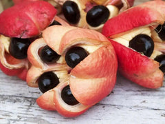 Tropical Sun Jamaica Ackee (540g) - Honesty Sales