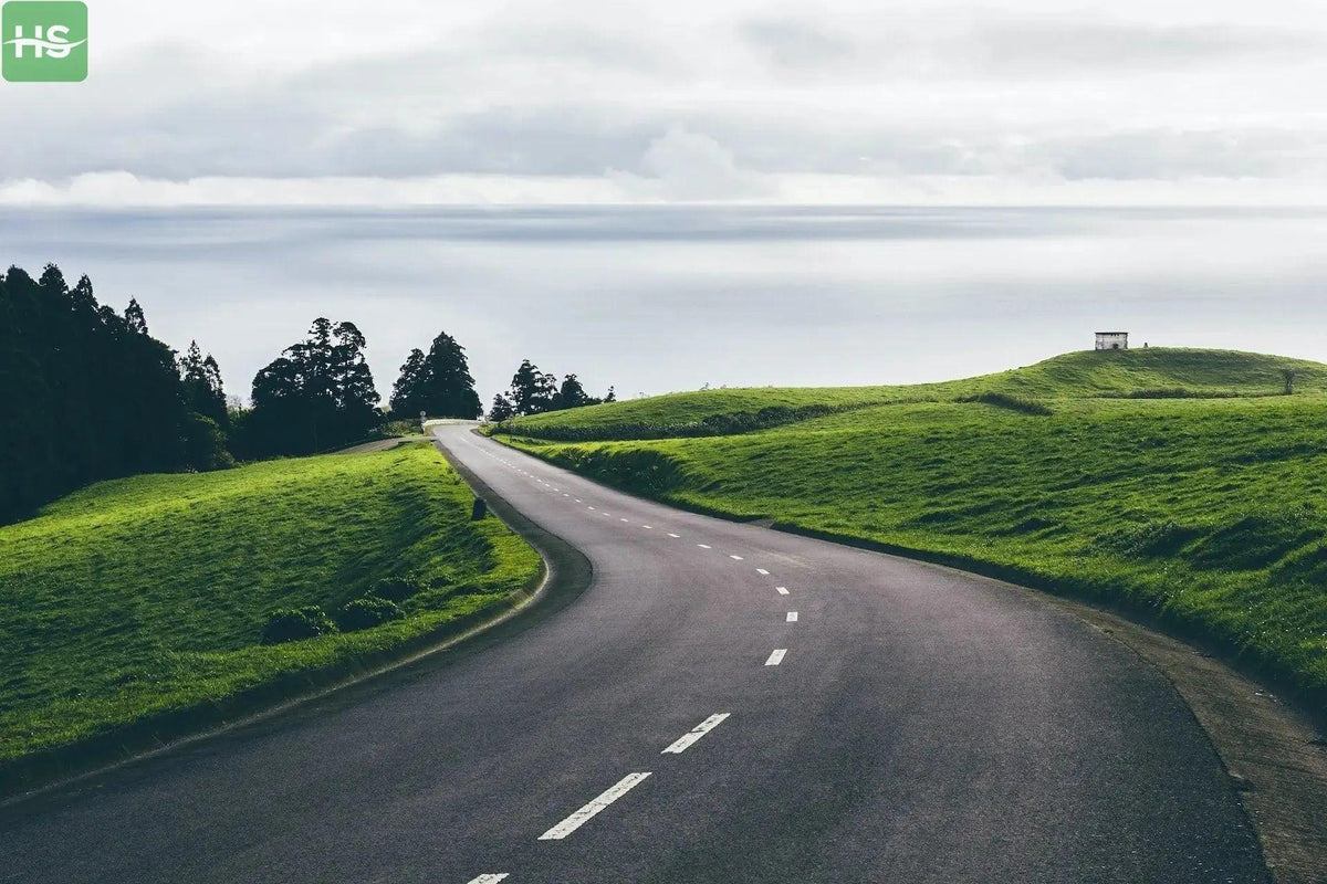 The church ought to be a million miles up the road - Honesty Sales