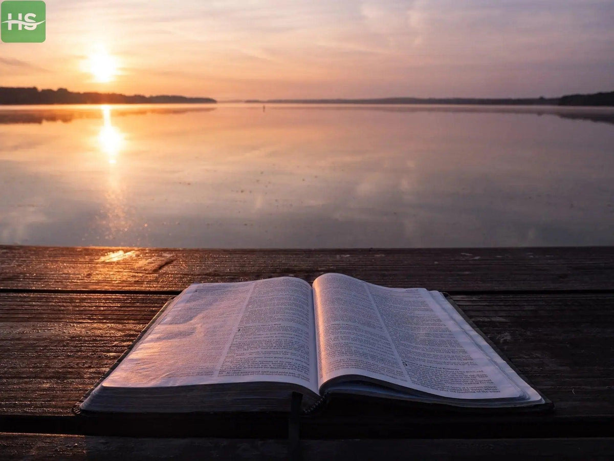 You are a Bible to many people - Honesty Sales