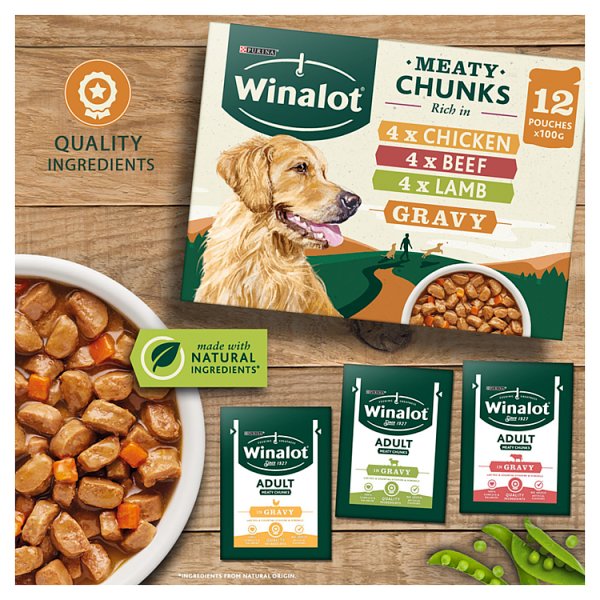 WINALOT Meaty Chunks Mixed in Gravy Wet Dog Food 12x100g (Case of 4) - Honesty Sales