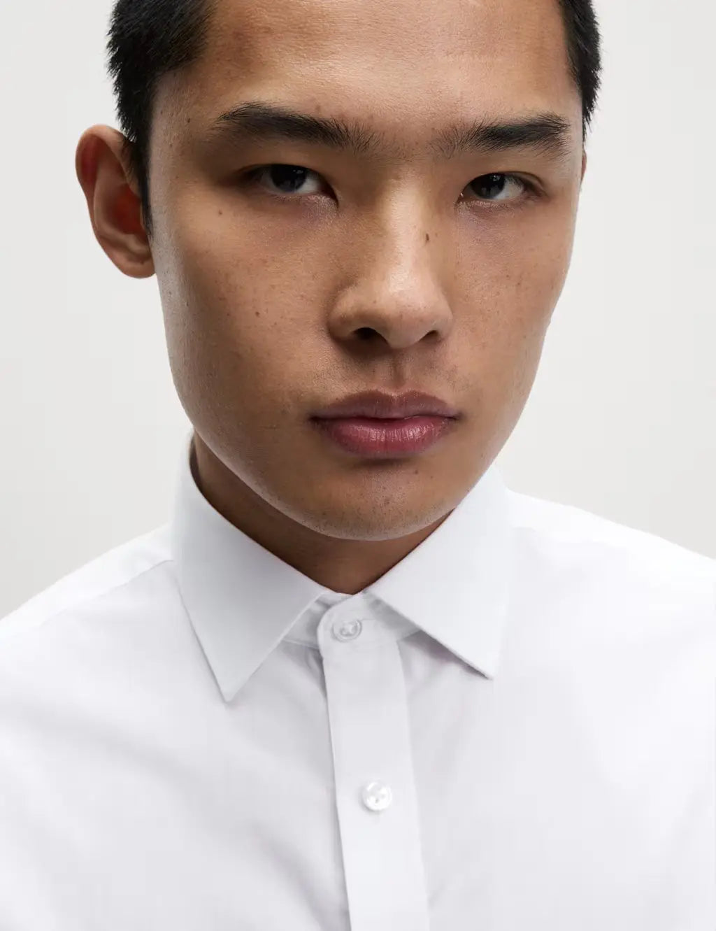 3pk Regular Fit Easy Iron Long Sleeve Shirts Honesty Sales