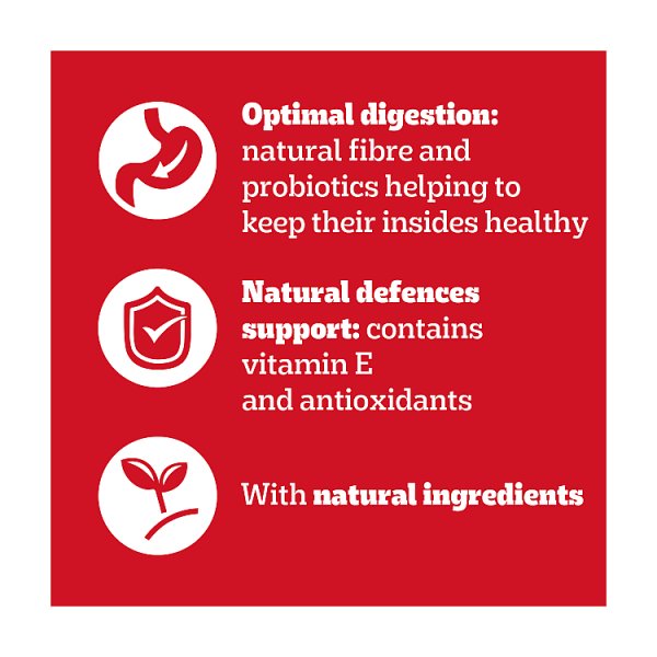 PEDIGREE® Adult Wet Dog Food Mixed Selection in Jelly 12 x 100g Pouch (Case of 4)