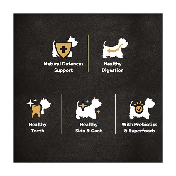 Cesar Adult Dry Dog Food with Fresh Chicken, Salmon & Vegetables 1.4kg (Case of 5)