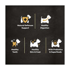 Cesar Adult Dry Dog Food with Fresh Chicken, Salmon & Vegetables 1.4kg (Case of 5)