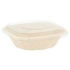 BioPak 25pcs Takeaway Trays & Lids - Honesty Sales