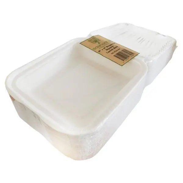 Edenware Bagasse Square Lunch Box Outer Carton 8in x 8in - Honesty Sales Hauptbild
