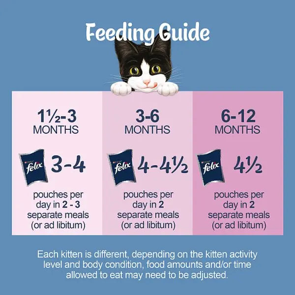 FELIX Original Kitten Mixed Selection in Jelly Wet Cat Food 12x85g (Case of 4)  Honesty Sales U.K