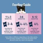 FELIX Original Kitten Mixed Selection in Jelly Wet Cat Food 12x85g (Case of 4)  Honesty Sales U.K