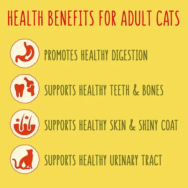 GO-CAT Chicken and Turkey Dry Cat Food 340g (Case of 6)  Honesty Sales U.K