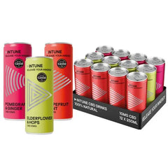 INTUNE CBD Mixed Pack CBD Drink 12 x 250ml Cans  Honesty Sales U.K