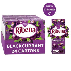 Ribena Blackcurrant Juice Drink Carton 250ml (Case of 24) - Honesty Sales U.K