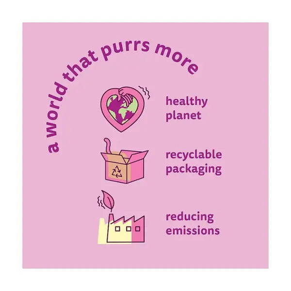 WHISKAS 1+ Dry CHICKEN Cat Food 300g (Case of 6)  Honesty Sales U.K