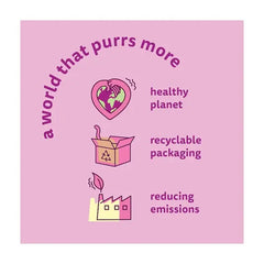 WHISKAS 1+ Dry CHICKEN Cat Food 300g (Case of 6)  Honesty Sales U.K