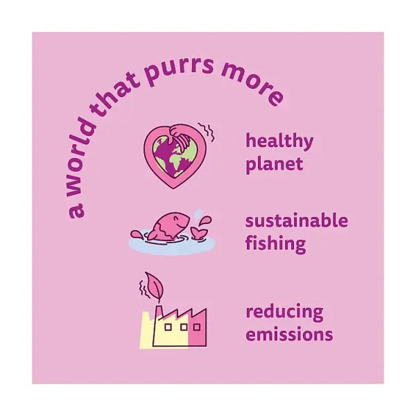 WHISKAS 1+ FISH Favourites Wet Cat Food Pouches in Jelly 12 x 85g (Case of 4)  Honesty Sales U.K