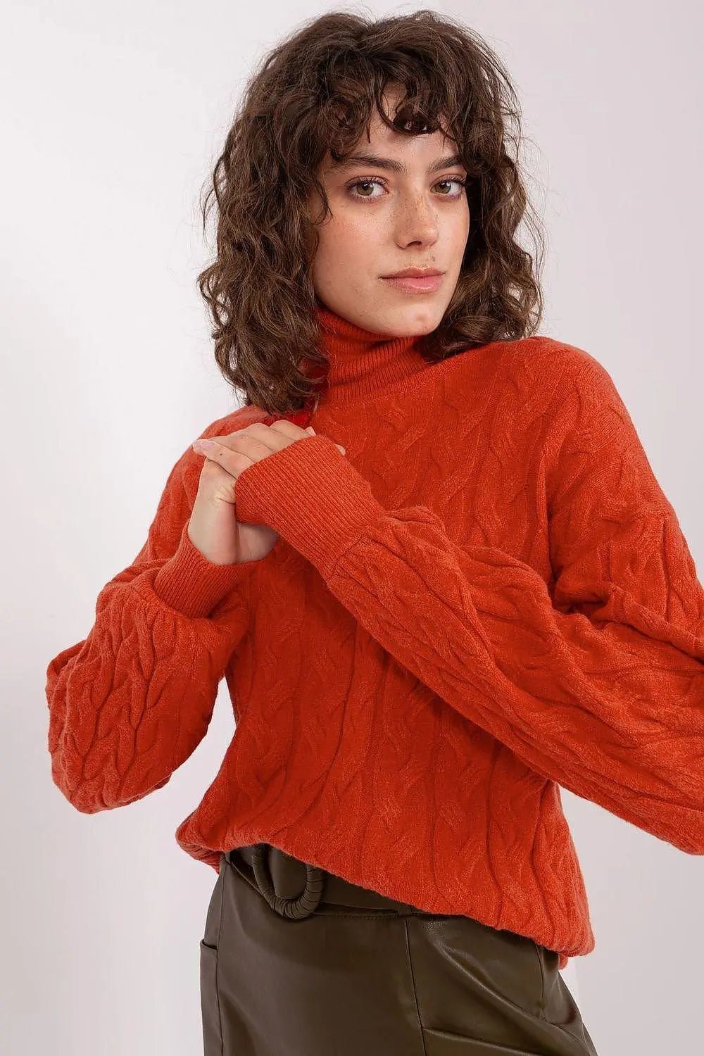 AT long sleeve turtleneck sweater - Honesty Sales