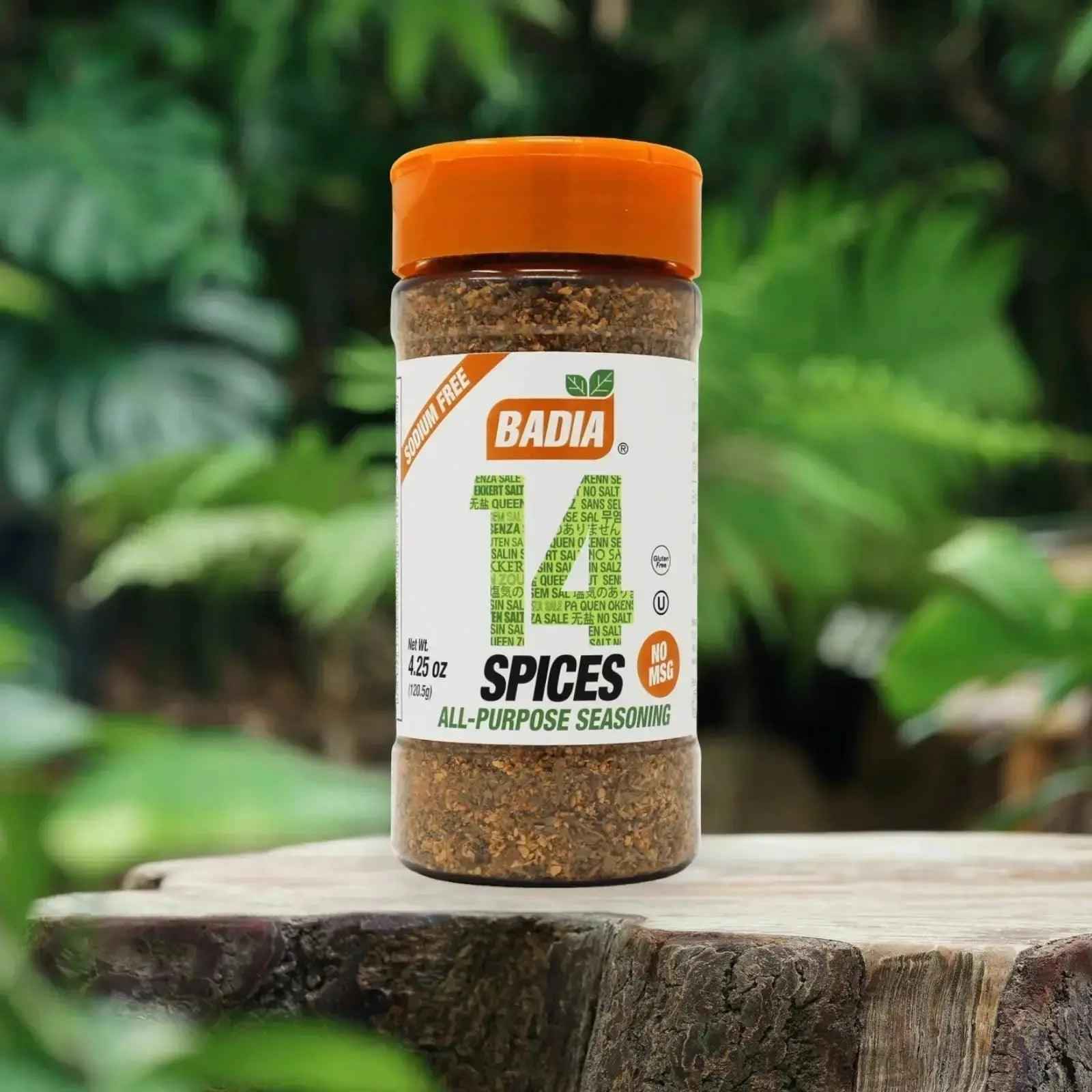 Badia All Purpose 14 Spices 120.5g - Honesty Sales