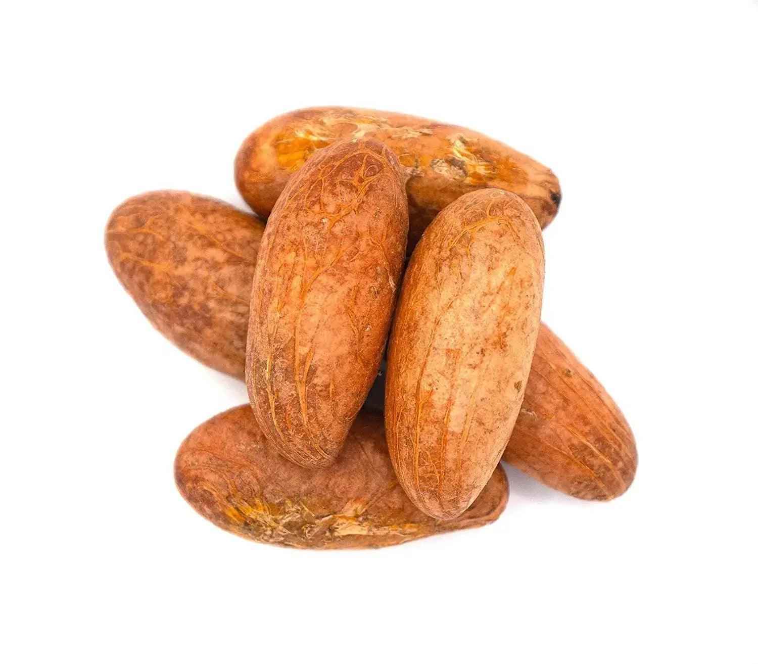Bitter Kola Nut (Cola Nuts) Fresh Garcinia Kola Approx 4 Pieces - Honesty Sales