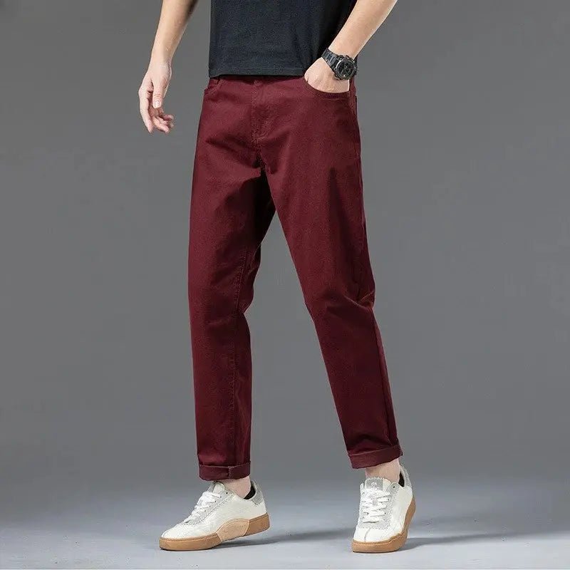 Cotton Pants Men Plus Size 48 46 44 42 Elastic Wine Red Blue Black Casual Trousers Loose Stretched Chino Straight Male Clothing - Honesty Sales