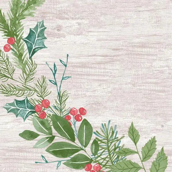 Duni Winter Green 40cm Dunisoft Napkin - Honesty Sales