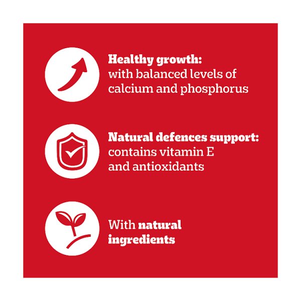 Jack's 7 Dog Dental Sticks 180g (Case of 13) Secondary image