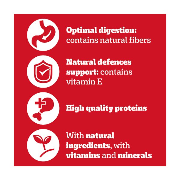 PEDIGREE® Adult Wet Dog Food Chunks in Gravy with Beef 400g Can (Case of 12)