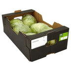 Farm Fresh Iceberg Lettuce (Case of 1) - Honesty Sales