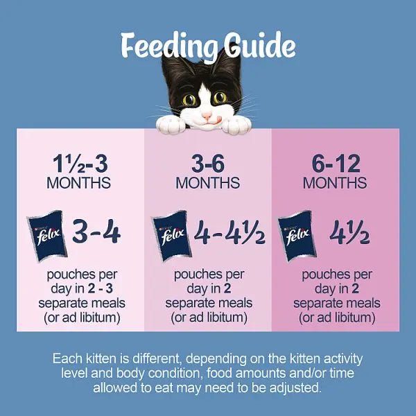 FELIX Original Kitten Mixed Selection in Jelly Wet Cat Food 12x85g (Case of 4) - Honesty Sales