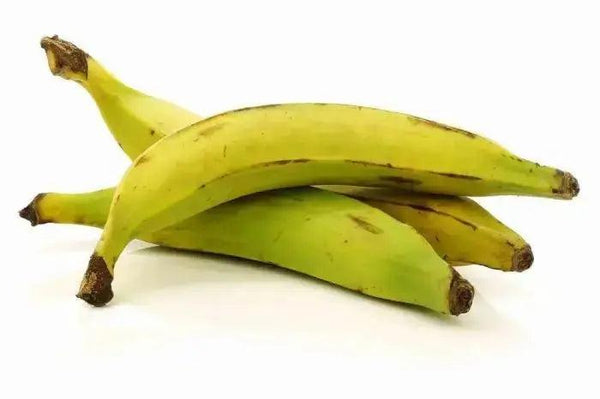 Fresh organic plantain, green and riped