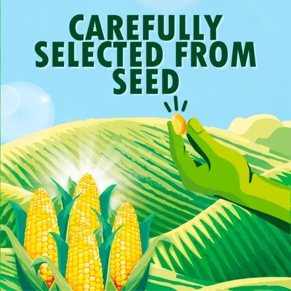 Green Giant Original 340g (Case of 12) - Honesty Sales
