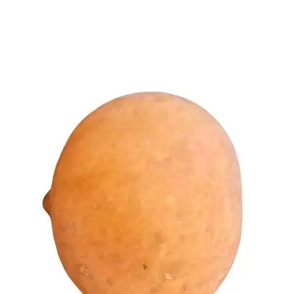 Hemispherical Calabash bowl 18 cm Round Half - Honesty Sales