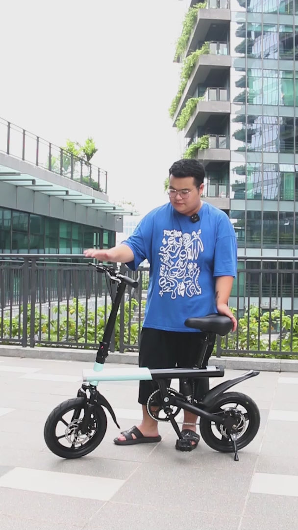 Electric Bike 36V 8Ah Battery 350 watts Motor 14 inch Folding Ebike Mankeel MZ-4