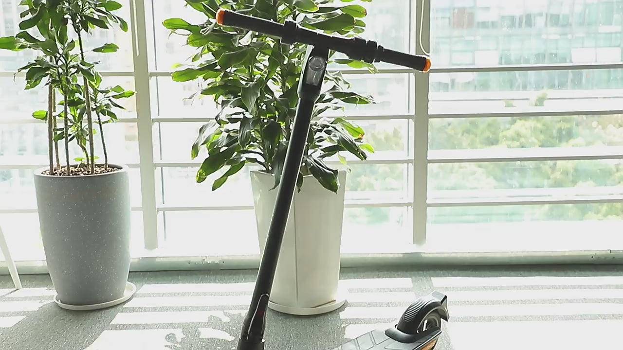 Mankeel MK090 Steed 36V/10.4Ah 350W Folding Electric Scooter