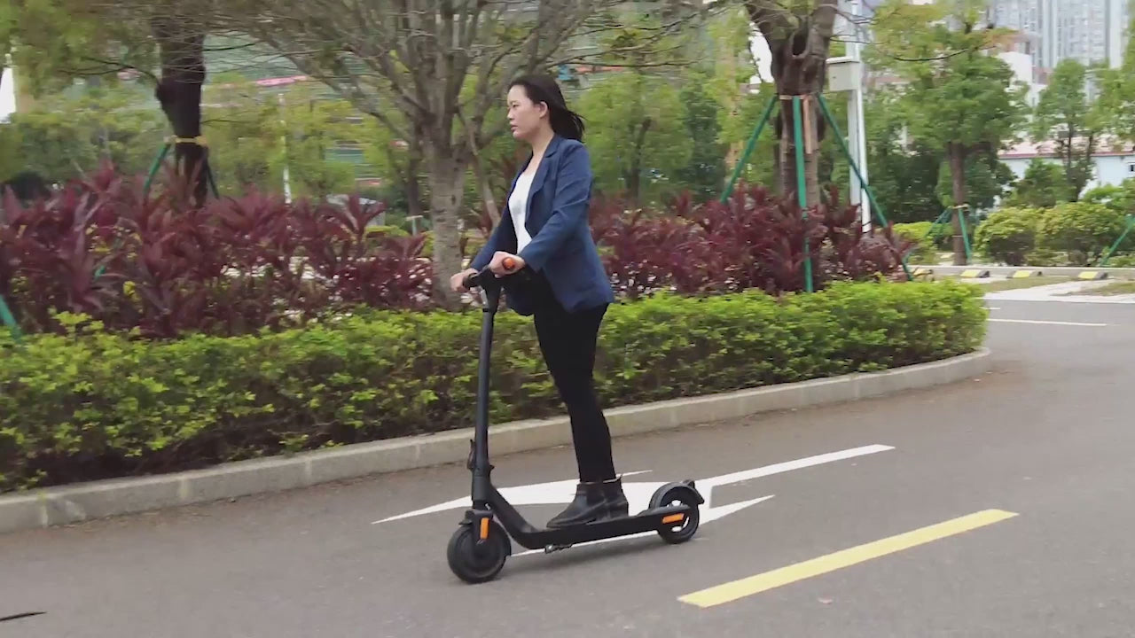 Mankeel MK090 Steed 36V/10.4Ah 350W Folding Electric Scooter