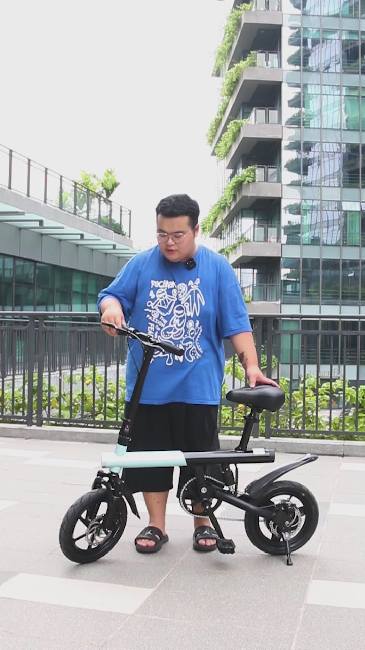 Electric Bike 36V 8Ah Battery 350 watts Motor 14 inch Folding Ebike Mankeel MZ-4