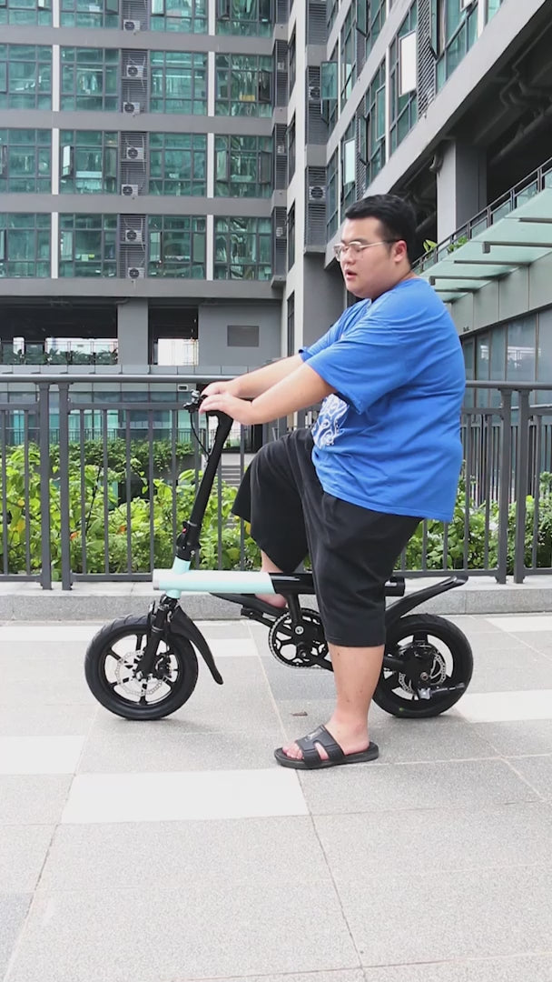 Electric Bike 36V 8Ah Battery 350 watts Motor 14 inch Folding Ebike Mankeel MZ-4