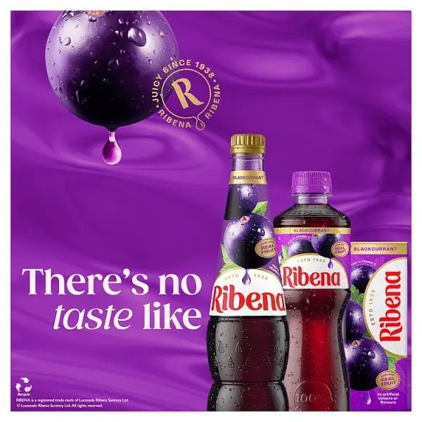 Ribena Blackcurrant Juice Drink 500ml (Case of 12) - Honesty Sales