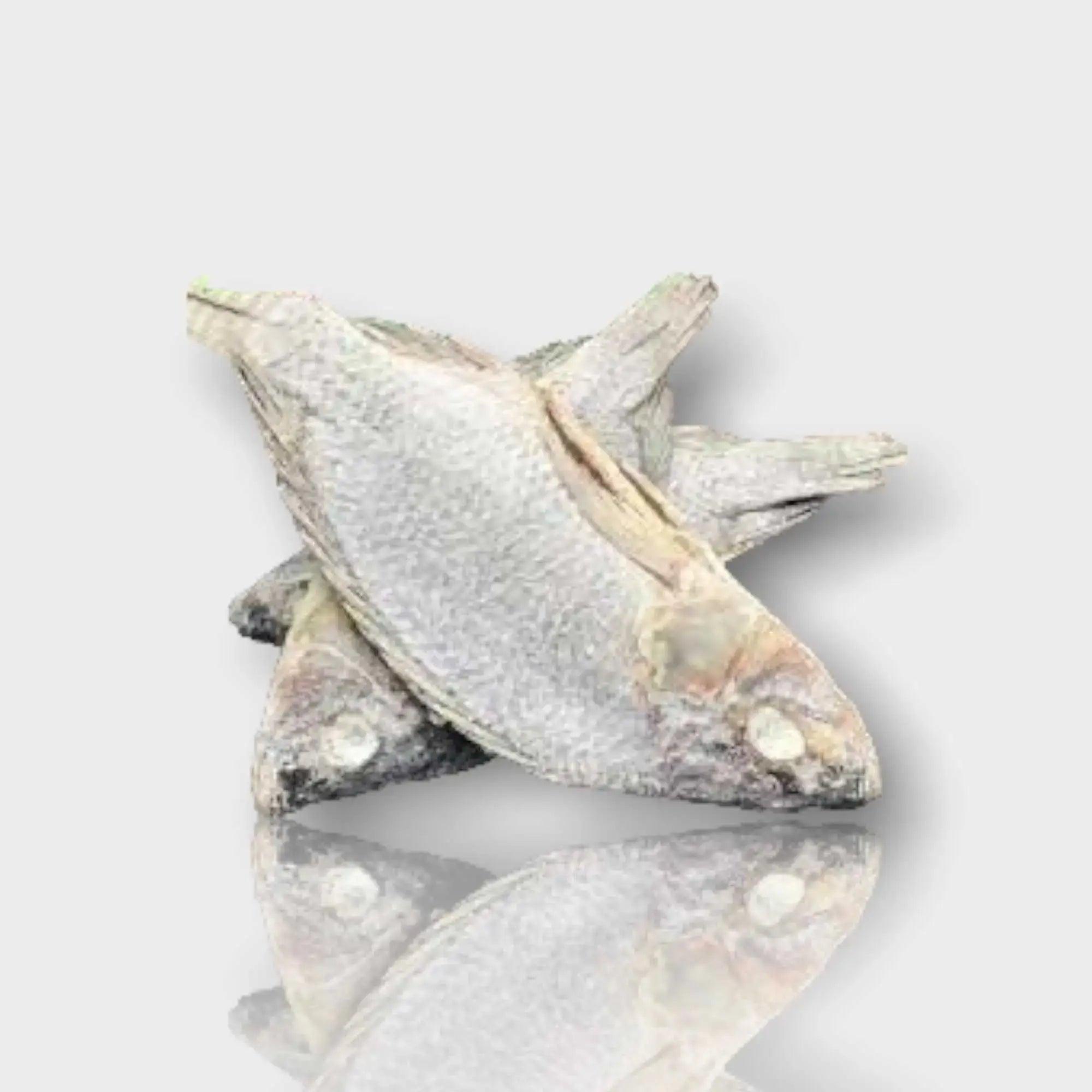 Salted & Dried Tilapia - Koobi-Bitoyi 100g - Honesty Sales
