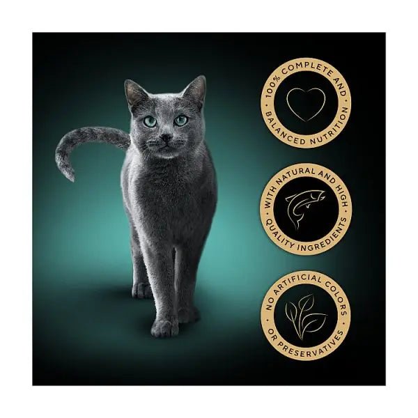 SHEBA® Fine Flakes Adult Wet Cat Food with Salmon Jelly 85g Tray (Case of 22) - Honesty Sales