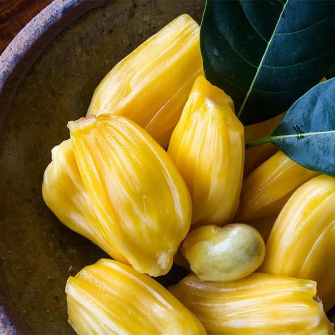 Tropical Sun Sweet Yellow Jacquier au sirop 565g Image secondaire du produit