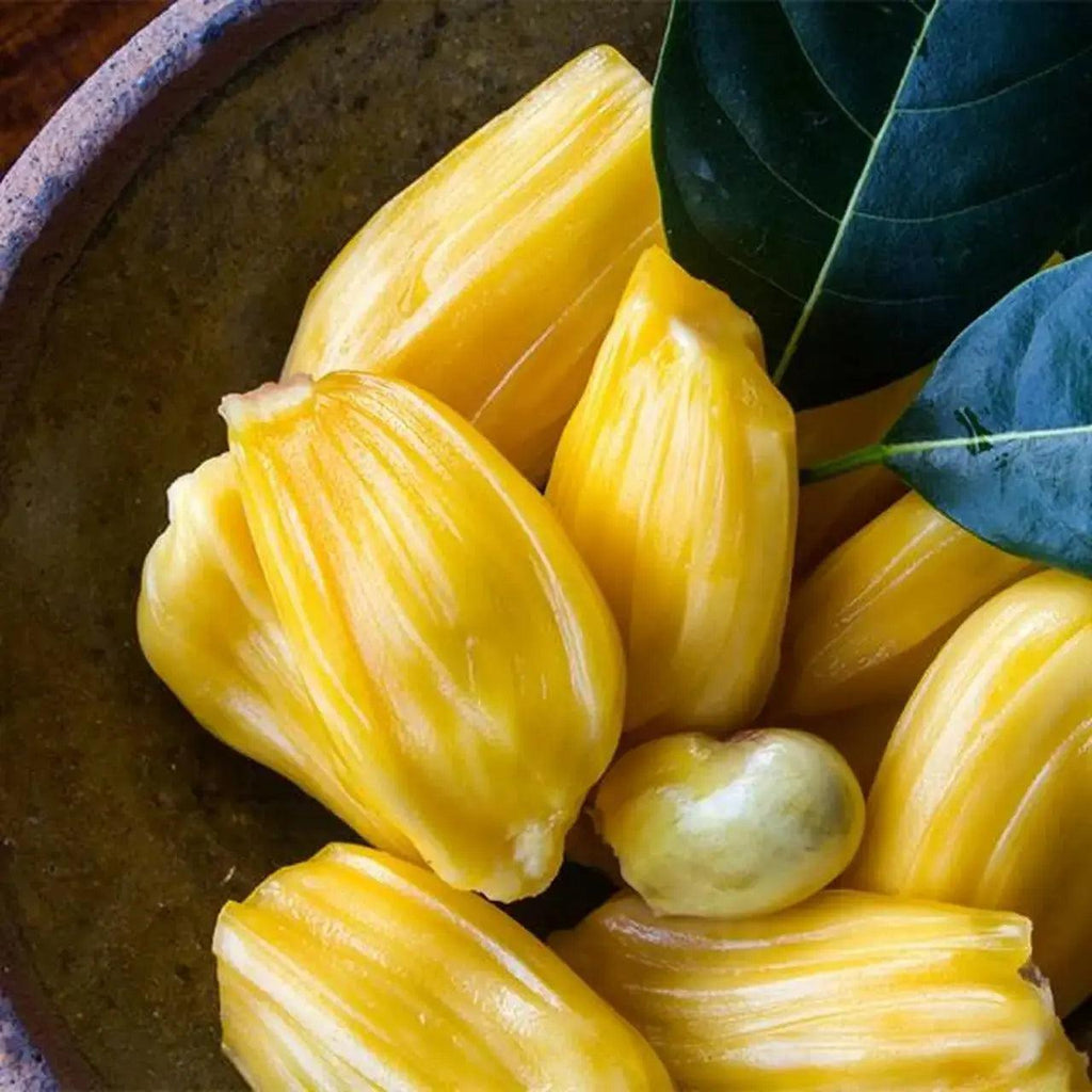 Tropical Sun Sweet Yellow Jackfruit in Syrup 565g - Honesty Sales