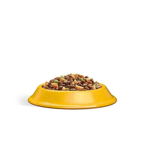 WHISKAS 1+ Dry CHICKEN Cat Food 300g (Case of 6) - Honesty Sales