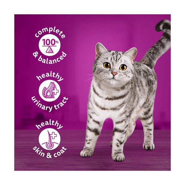 Whiskas Adult Wet Cat Food Salmon in Jelly Tin 400g (Case of 12) - Honesty Sales