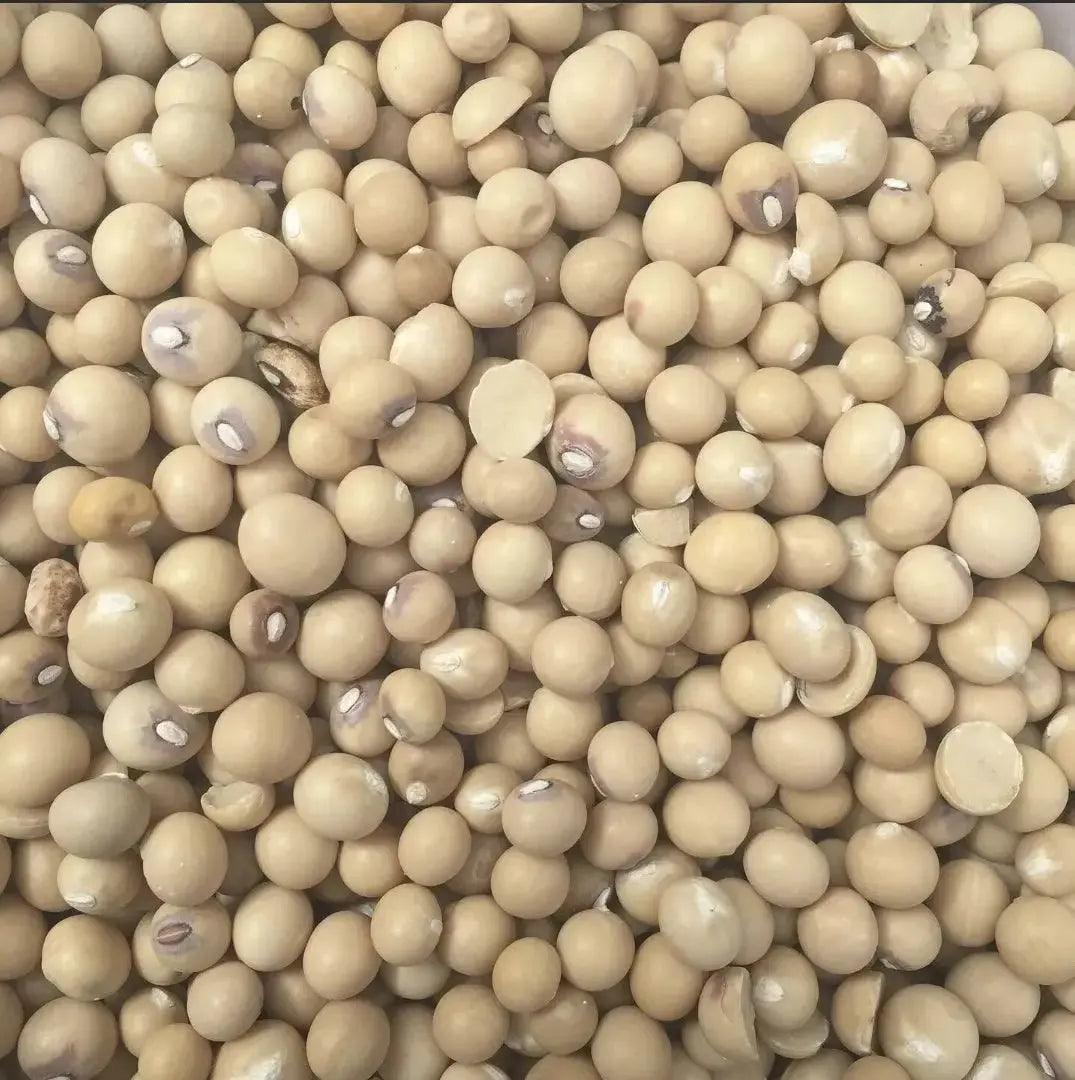 WHOLE OKPA SEEDS - Bambara Beans 1kg - Honesty Sales
